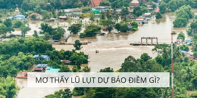 Giải mã giấc mơ thấy lũ lụt được nhiều người quan tâm.
